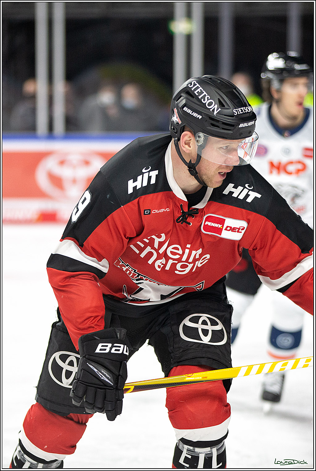 PENNY DEL; Koelner Haie- Nuernberg Ice Tigers; Koeln, 03.12.2021